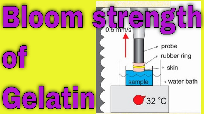 How Bloom Strength Is Measured (Standard Method Explained)