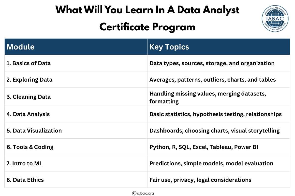 Data Analyst