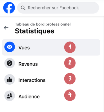 Les 4 statistiques Facebook Vues, Revenus, Interactions, audience 