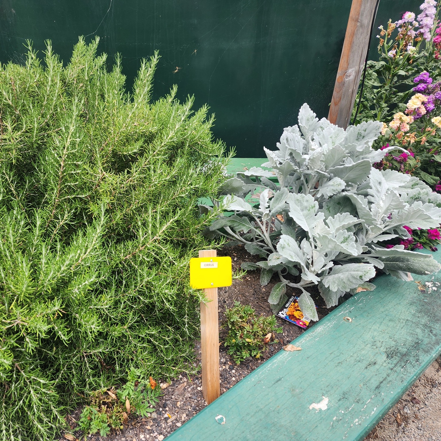 Community Garden