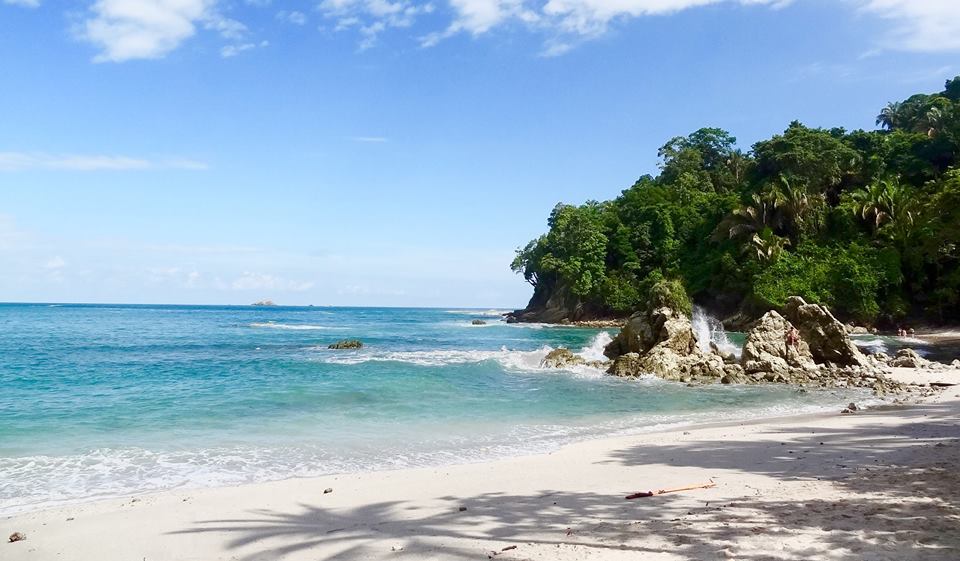 Clean and clear water and white sand beach have tall trees and large rock in the water
