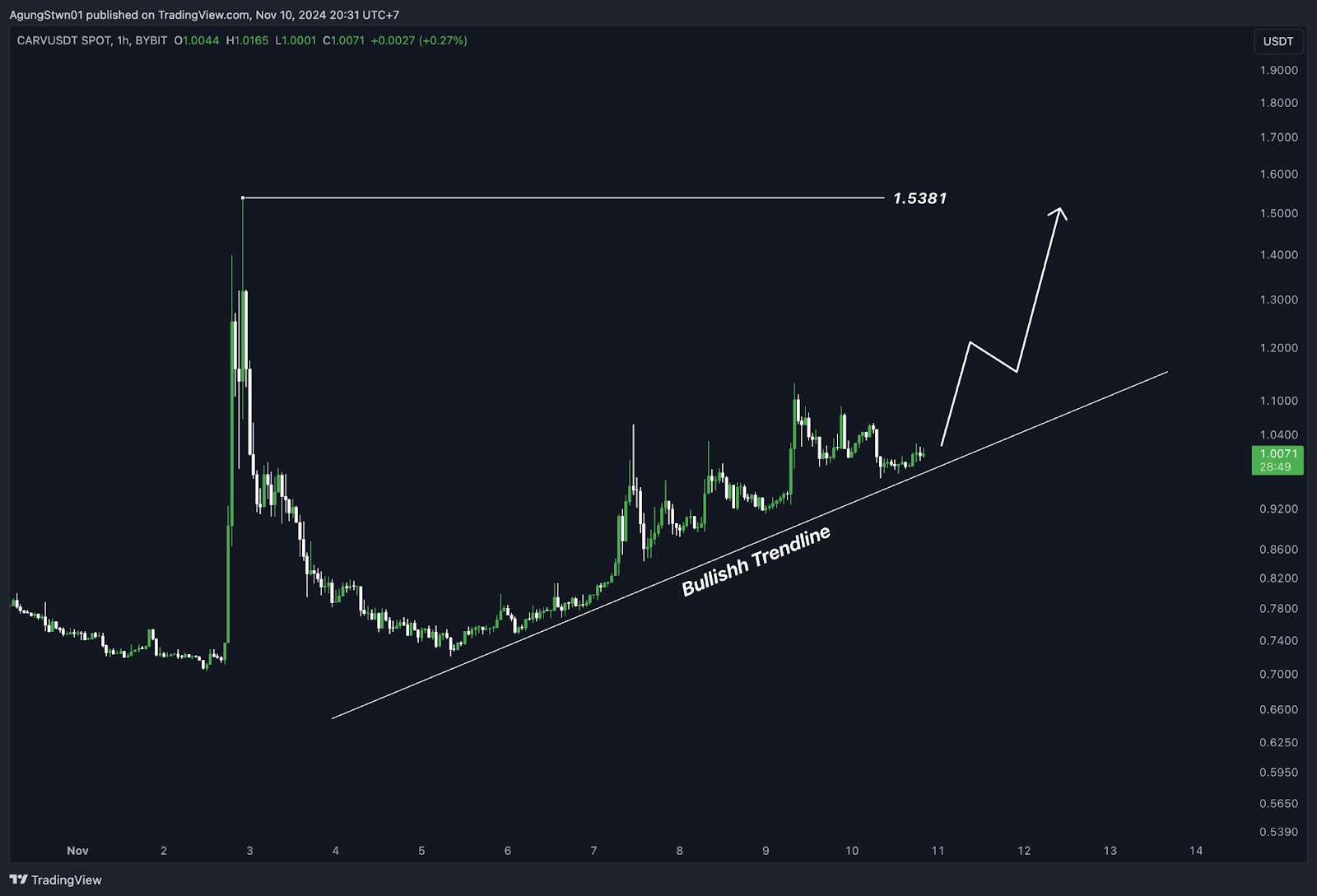 Top 5 Altcoin Yang Harus Kamu Pantau Minggu Ini (11 November 2024)