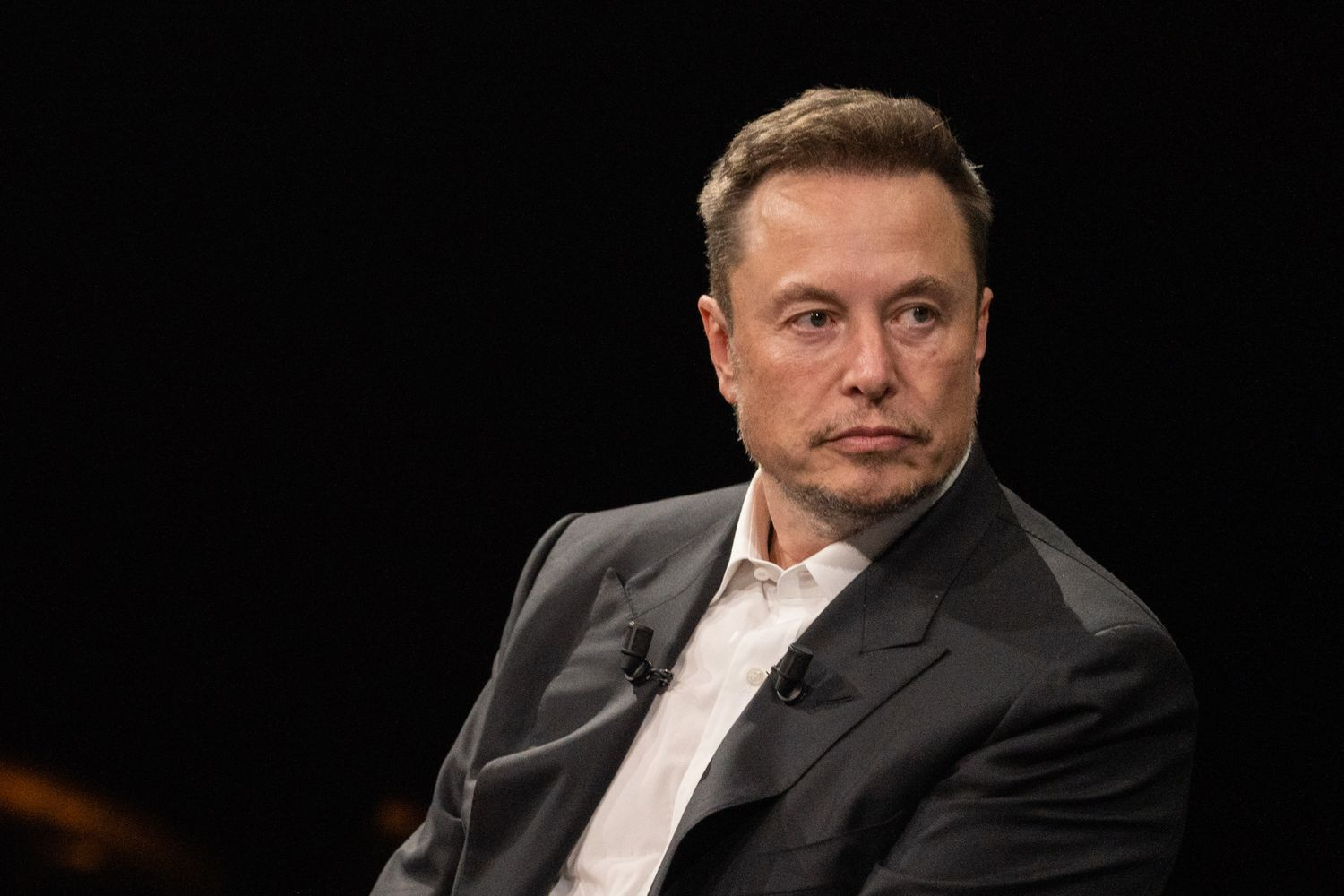 elon musk per day income