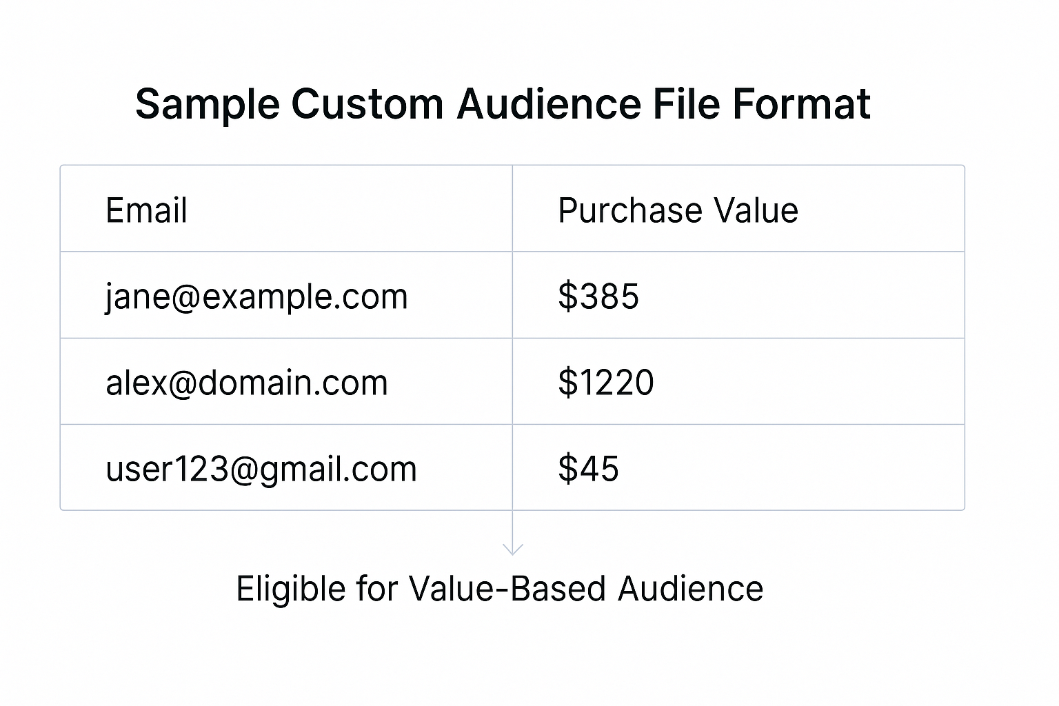  Table: Sample Custom Audience File Format