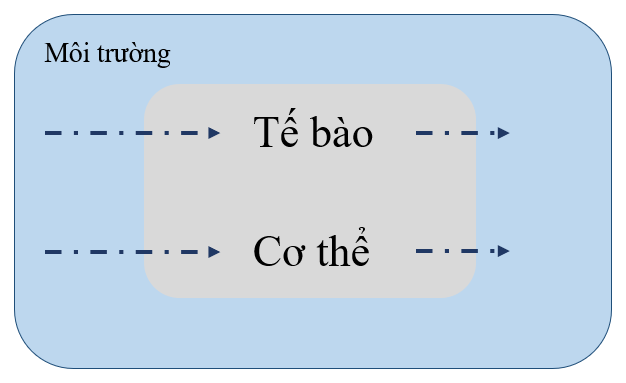 BÀI 39: CHỨNG MINH CƠ THỂ SINH VẬT LÀ MỘT THỂ THỐNG NHẤT