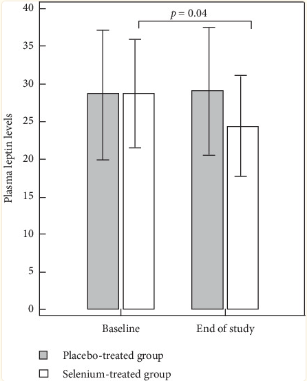 Die Studie (10) konnte in der mit Selen behandelten Gruppe (weiß) einen signifikanten Rückgang des Leptinspiegels feststellen, während es in der Placebogruppe (grau) zu keiner Veränderung kam.