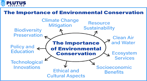 role of business in environmental protection