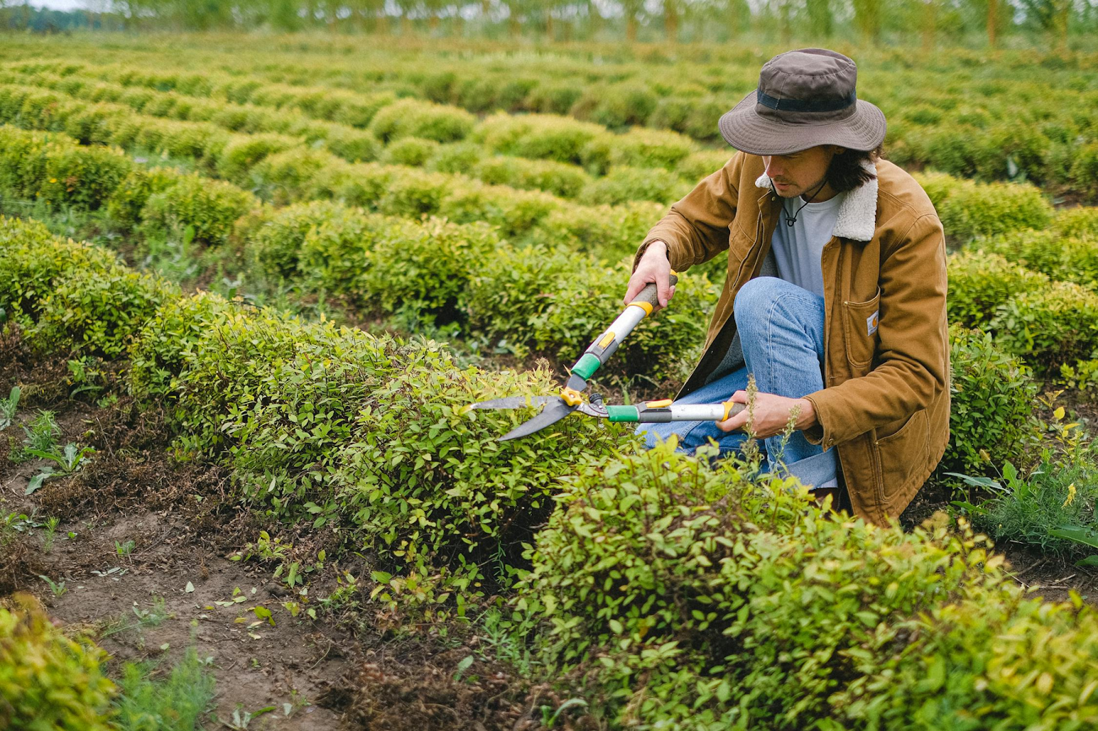 https://www.pexels.com/photo/man-with-secateurs-working-near-bushes-5231140/