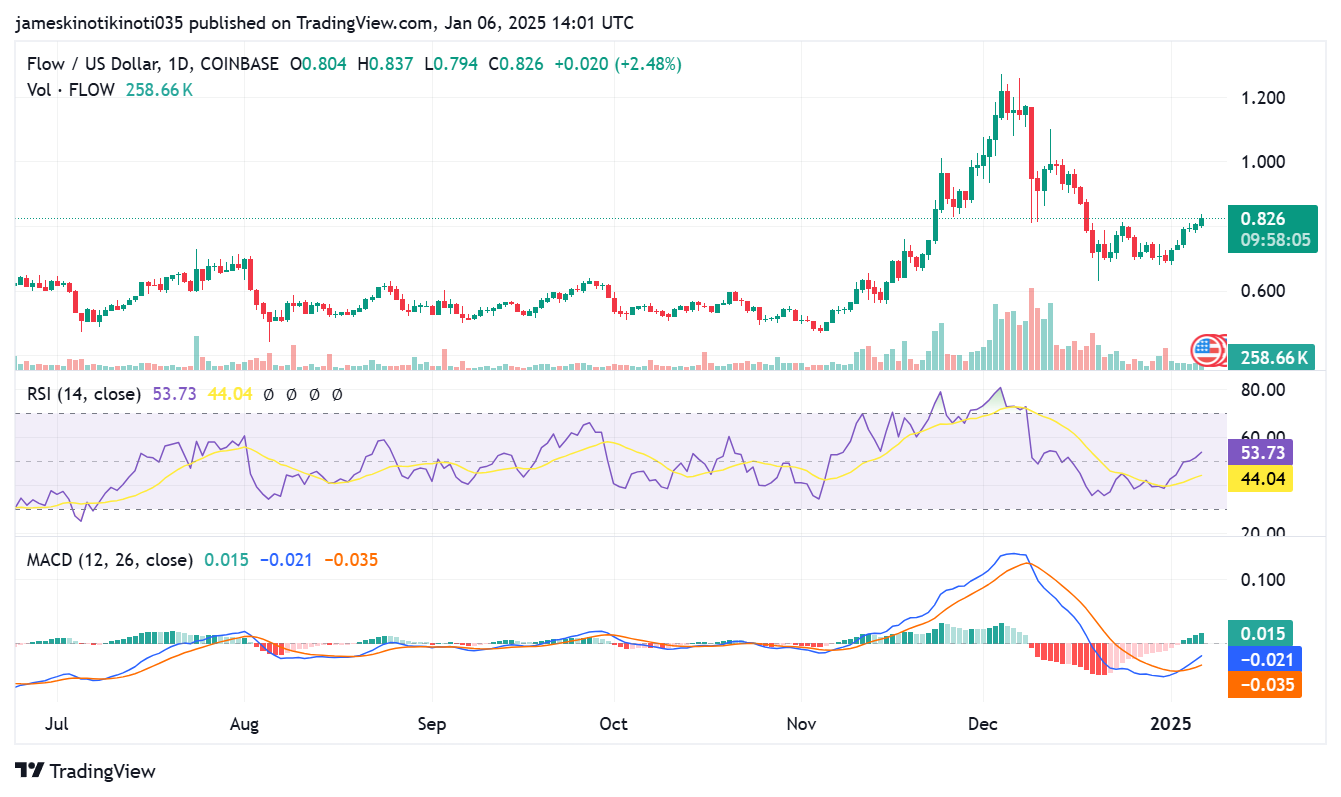 Flow 1-day price chart