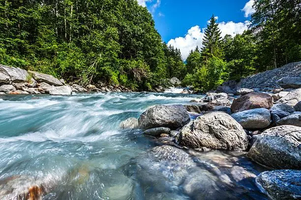 20 Natural Photos That Make You Want to Travel, travel inspiration, nature shots, nature, forest, landscape, wanderlust images, scenic desire