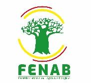 C:\Users\HP\Desktop\logo FENAB-Format JPG\FENAB LOGO HR.jpg