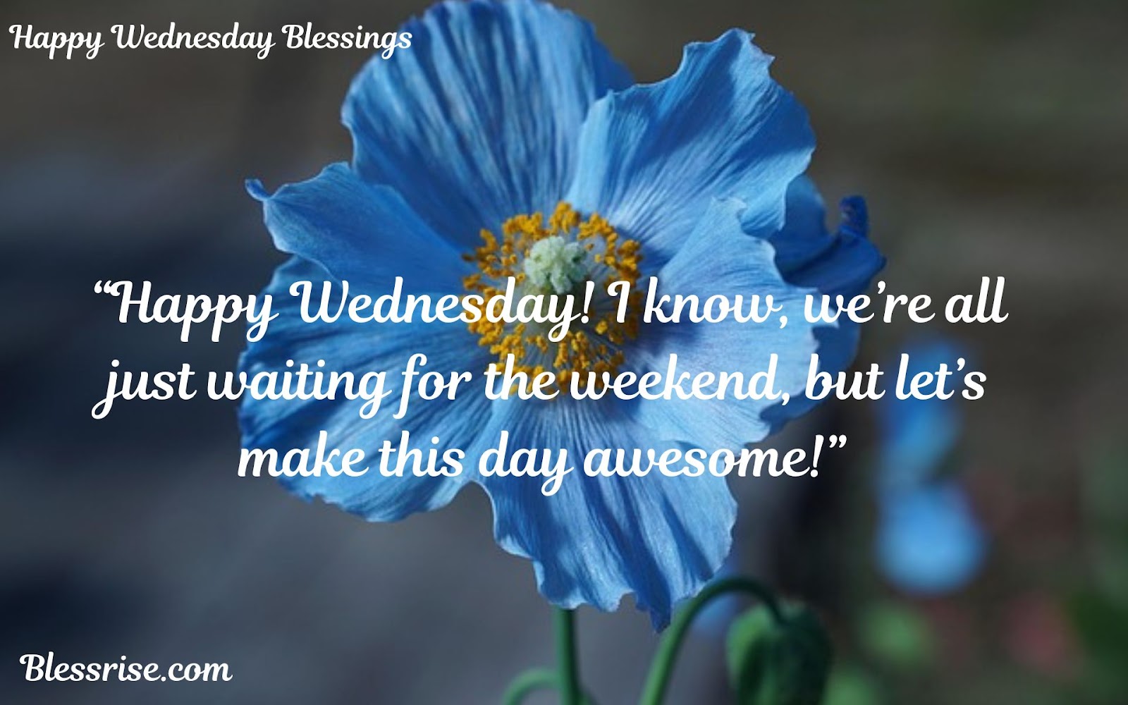 Uplifting Wednesday Quotes
