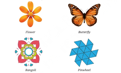 find line of symmetry