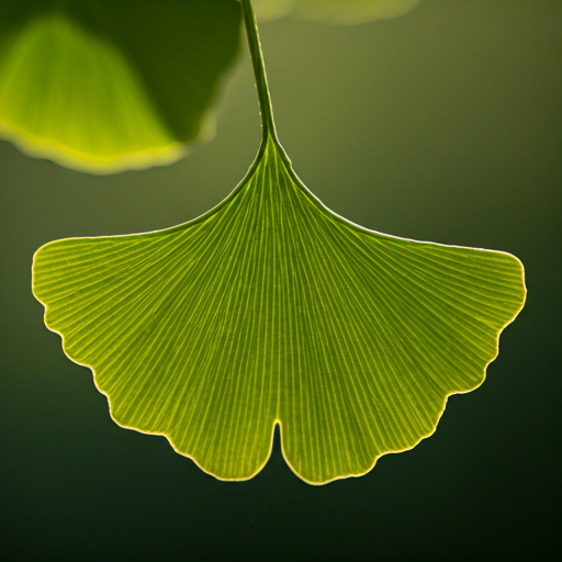 How to Grow Ginkgo Herbs: 7 Proven Steps to Success