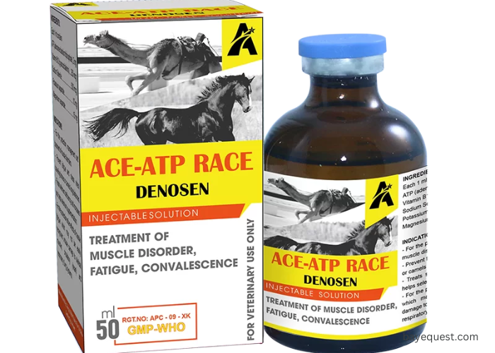 Ace for Horses