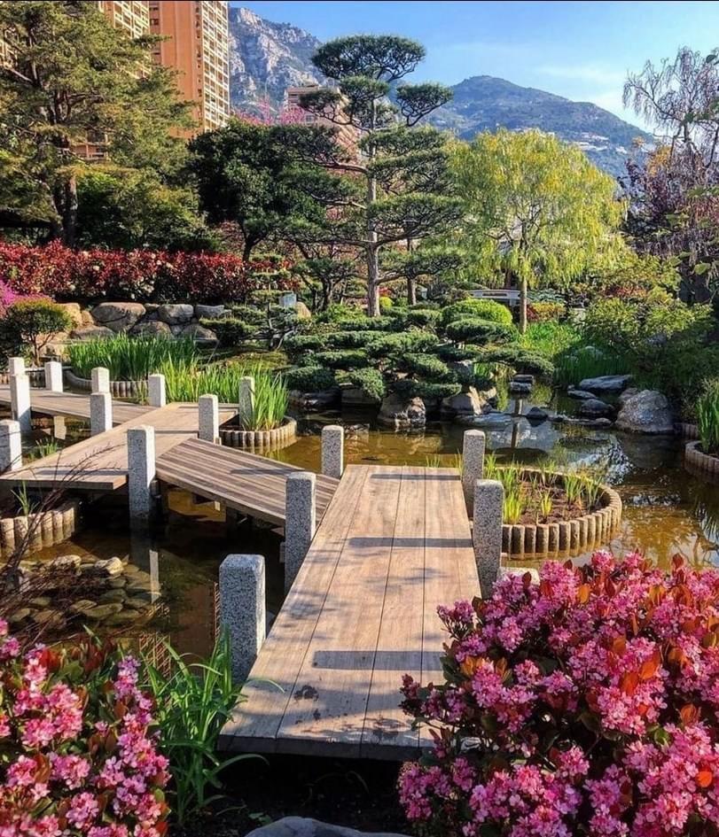 A wooden bridge over a pond with flowers and trees

Description automatically generated