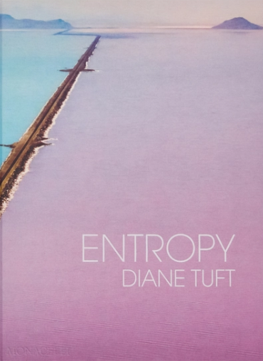 Cover of a book titled "Entropy," showing a degraded pink and blue watery landscape 