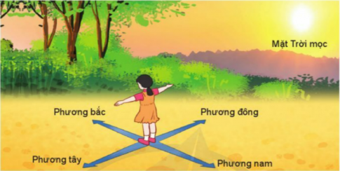 BÀI 20. PHƯƠNG HƯỚNG1. Mặt Trời mọc khi nào và lặn khi nào?Câu 1: Mặt Trời mọc khi nào và lặn khi nào?Đáp án chuẩn: Mặt Trời mọc vào buổi sáng và lặn vào buổi chiều.Câu 2: Mặt Trời mọc ở phương nào, lặn ở phương nào?Đáp án chuẩn: Mặt Trời mọc ở phương đông và lặn ở phương tây.2. Xác định các phương chính dựa trên phương Mặt Trời mọc, lặnCâu 1: Dựa vào hình dưới đây, nêu cách xác định các phương chính dựa trên phương Mặt Trời mọc.Đáp án chuẩn: Đứng thẳng, hai tay dang ngang, tay phải hướng về phía Mặt Trời mọc, thì: tay phải chỉ phương đông, tay trái chỉ phương tây, trước mặt là phương bắc, sau lưng là phương nam.Câu 2: Nếu biết phương Mặt Trời lặn, em xác định các phương còn lại bằng cách nào?Đáp án chuẩn: Đứng thẳng, hai tay dang ngang, tay trái hướng về phía Mặt Trời lặn, thì: tay trái chỉ phương tây, tay phải chỉ phương đông, trước mặt là phương bắc, sau lưng là phương nam.3. Xác định các phương chính bằng la bàn