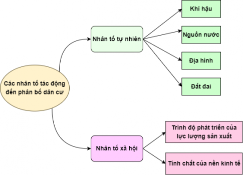 BÀI 17. PHÂN BỐ DÂN CƯ VÀ ĐÔ THỊ HÓA