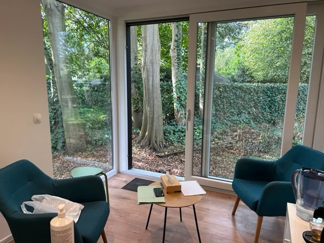 praktijk met twee blauwe stoelen en grote raam met groen 