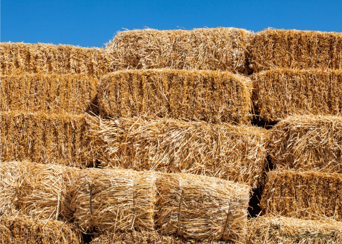 How Much Do Large Square Bales Weigh?