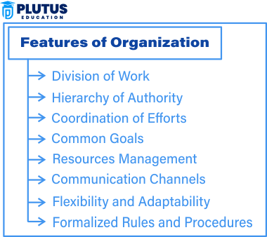 concept of organization