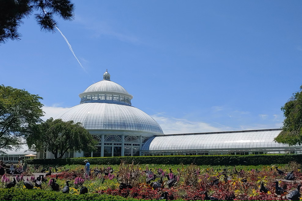 New York Botanical Garden
