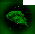 Echo Formation