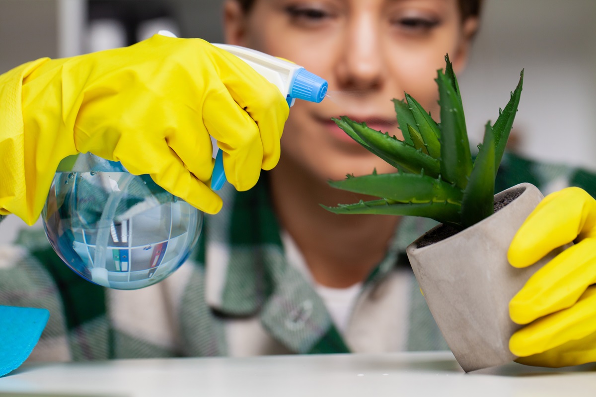 Preparing for the New Year: Deep Cleaning Tips for Tucson Homeowners 7 AD 4nXfRjYgfhdDdrt9WWuOwOrUA5xpqHBNpzqfZ9Sd YbFd9y5WpDXUp1J7 yHCLq8EfMP17VuoBbTMaD6qvtP gfaJGVQgbu6hPOs55OLIU0UAs UmlyuTfvxl2YCRUWAvL