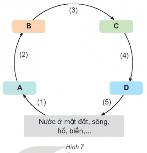 BÀI 2: SỰ CHUYỂN THỂ CỦA NƯỚC VÀ VÒNG TUẦN HOÀN CỦA NƯỚC TRONG TỰ NHIÊN