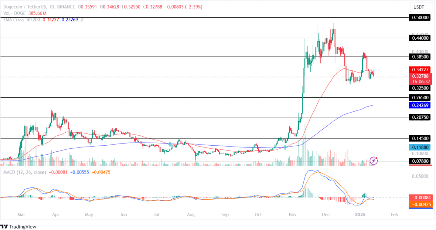 Doge Price Analysis 13-1-2025