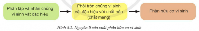 Giải bài 8 Ứng dụng công nghệ hiện đại trong sản xuất phân bón