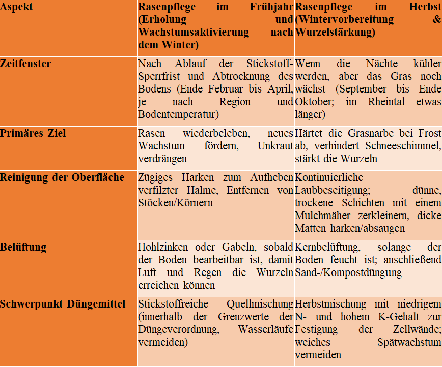 Gartenpflege 101: Unterschied zwischen Frühjahrs- und Herbst-Rasenpflege