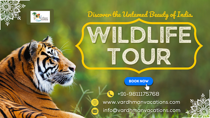 Unravel the Magic of Rajasthan Wildlife Tour