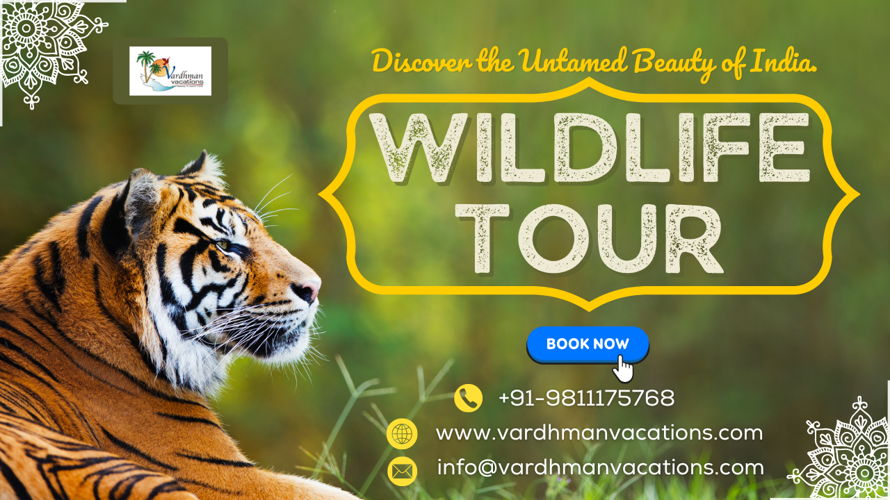 Rajasthan Wildlife Tour 