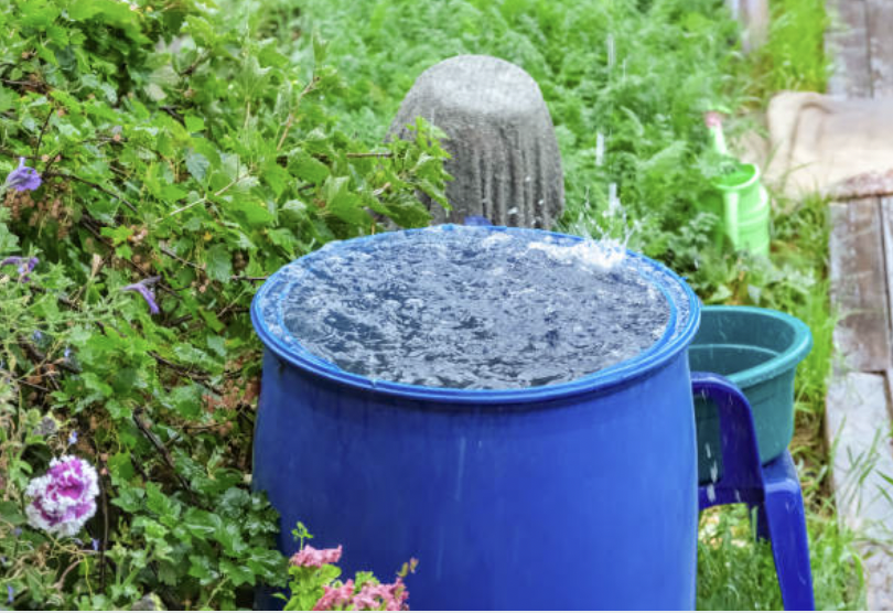 Rainwater Harvesting