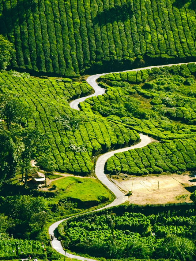 Road map of HuatPage features
