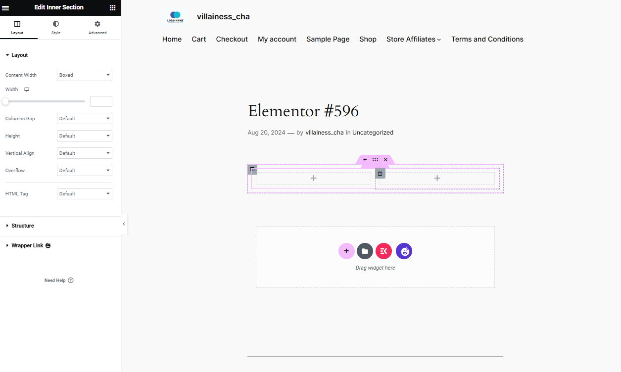 Elementor user interface