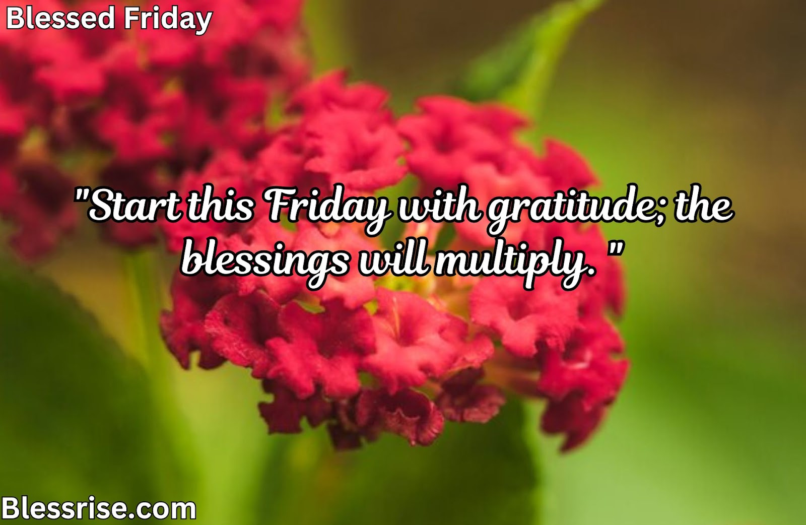 Motivational Blessed Friday Quotes