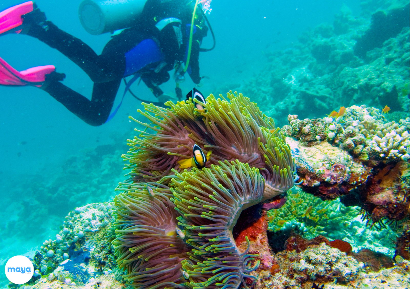 Great Barrier Reef