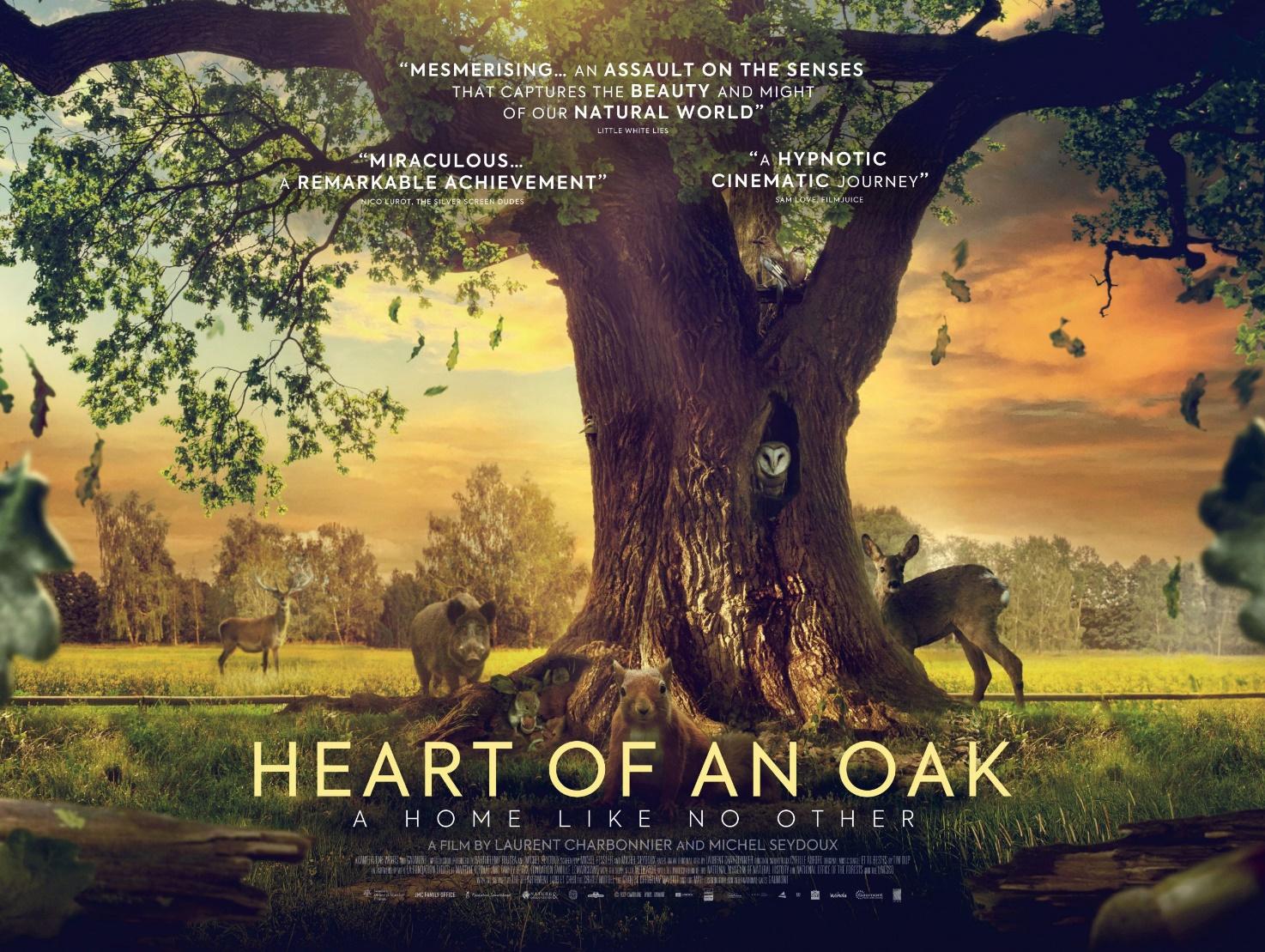 Heart of an Oak - Chichester Cinema at New Park