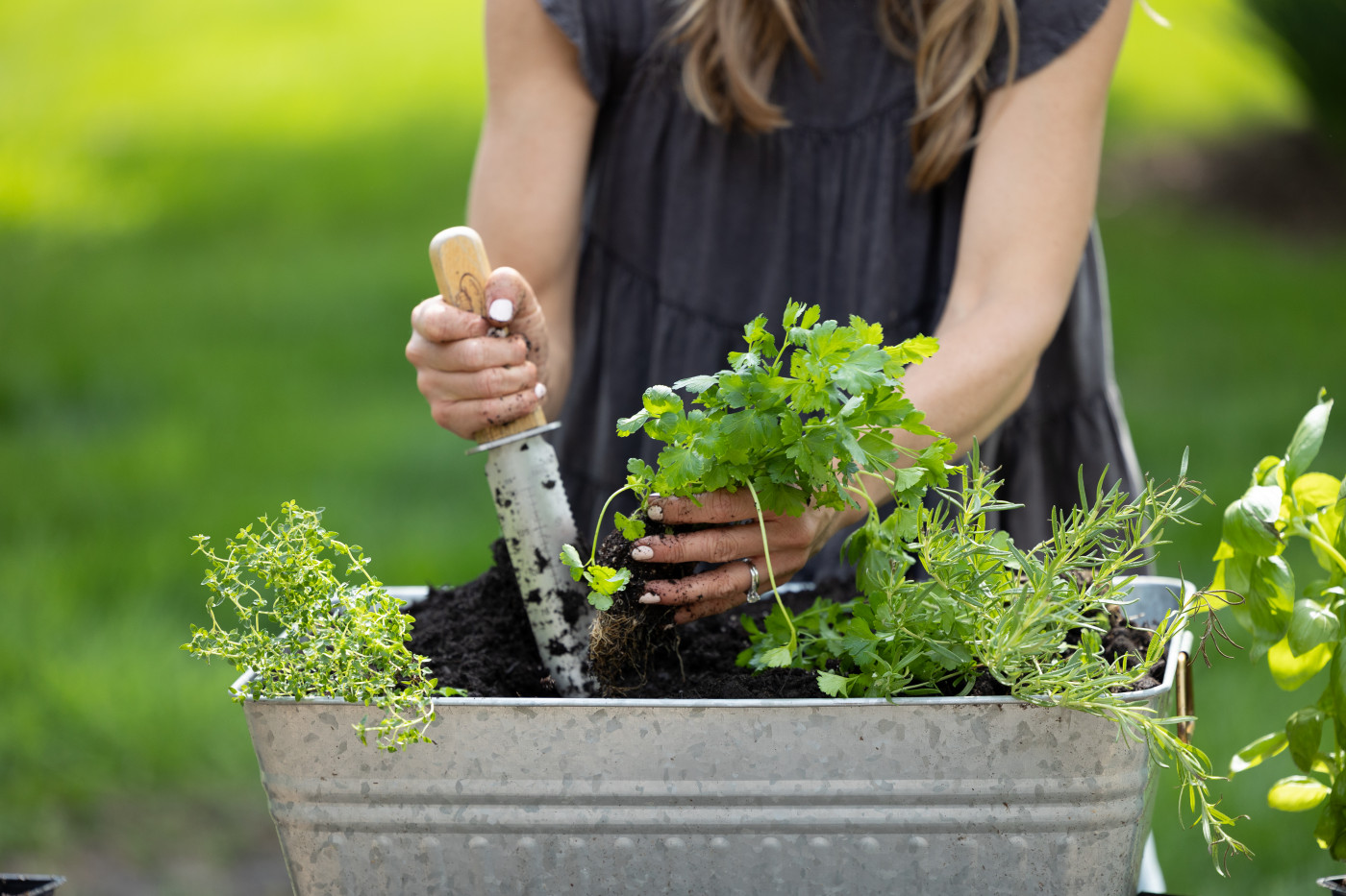 Caring for Herb Garden