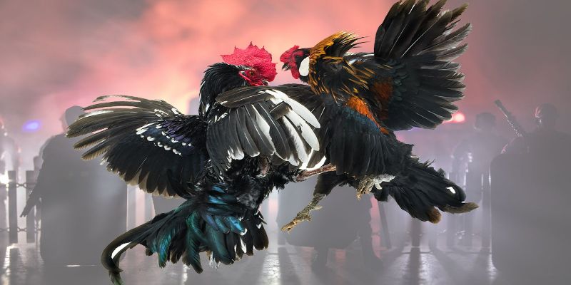  Đá kê - Tựa game giải trí đáng trải nghiệm