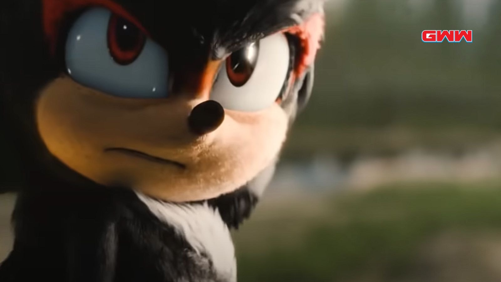 Shadow the Hedgehog glaring with a serious look.