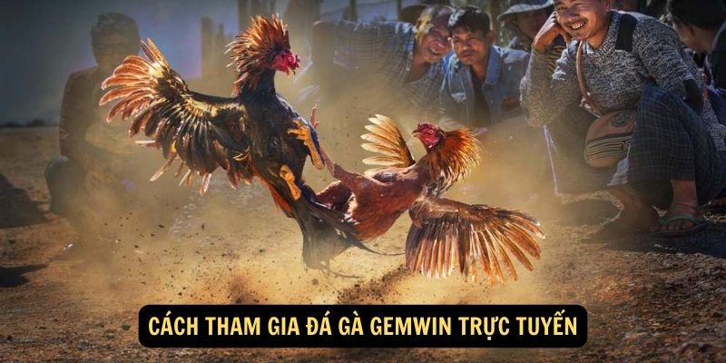 Cách tham gia đá gà Gemwin trực tuyến