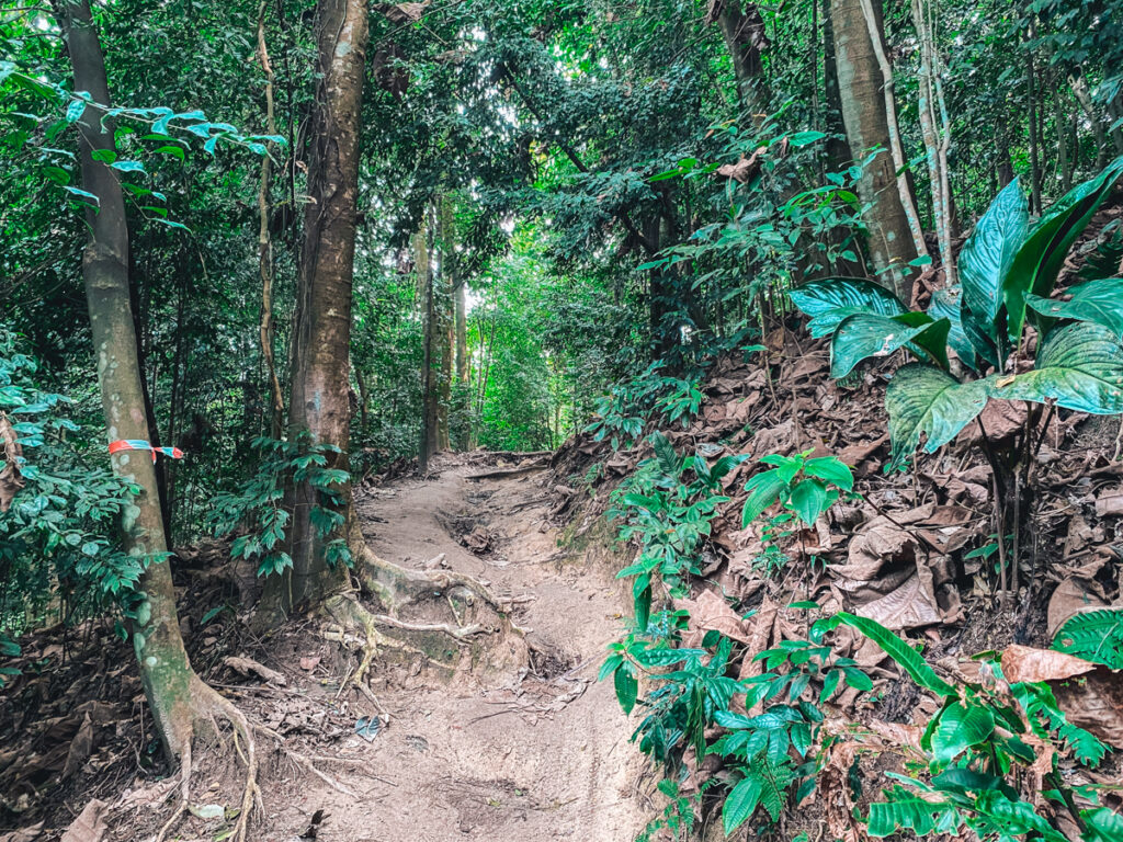 10 Tempat Hiking di KL yang Popular - Beginner Friendly!