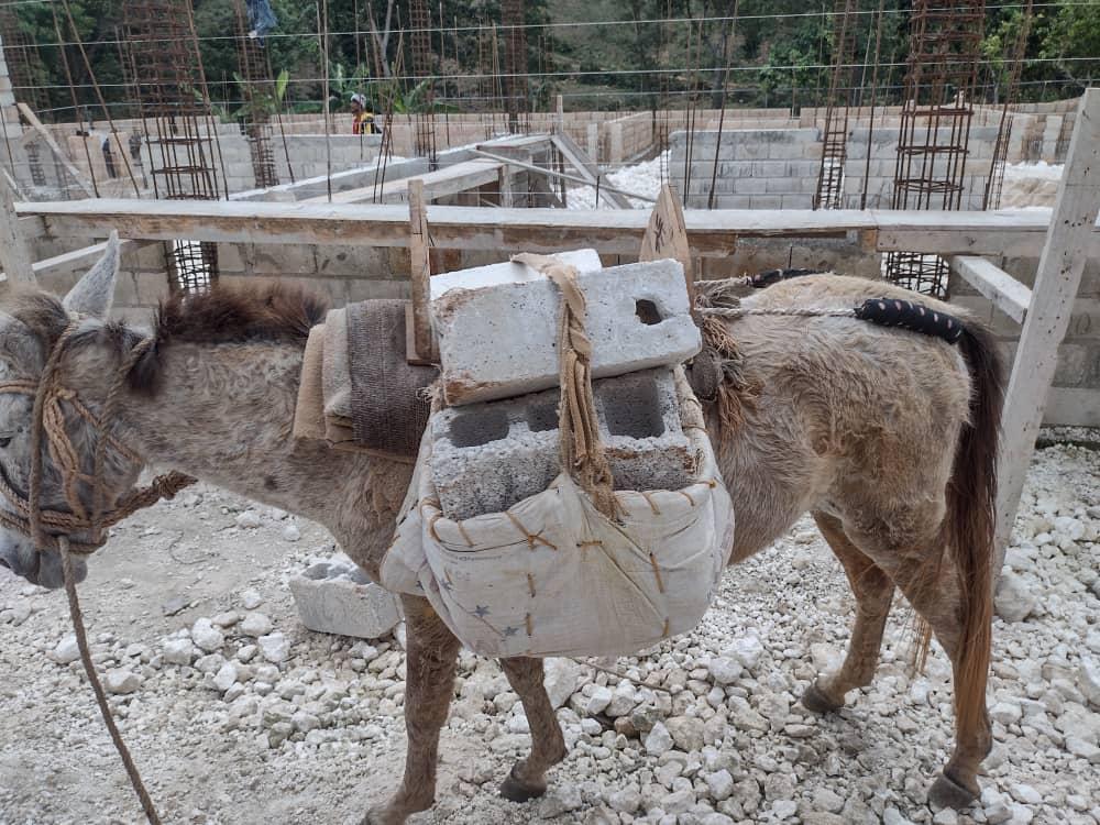 A donkey carrying bags on its back

Description automatically generated