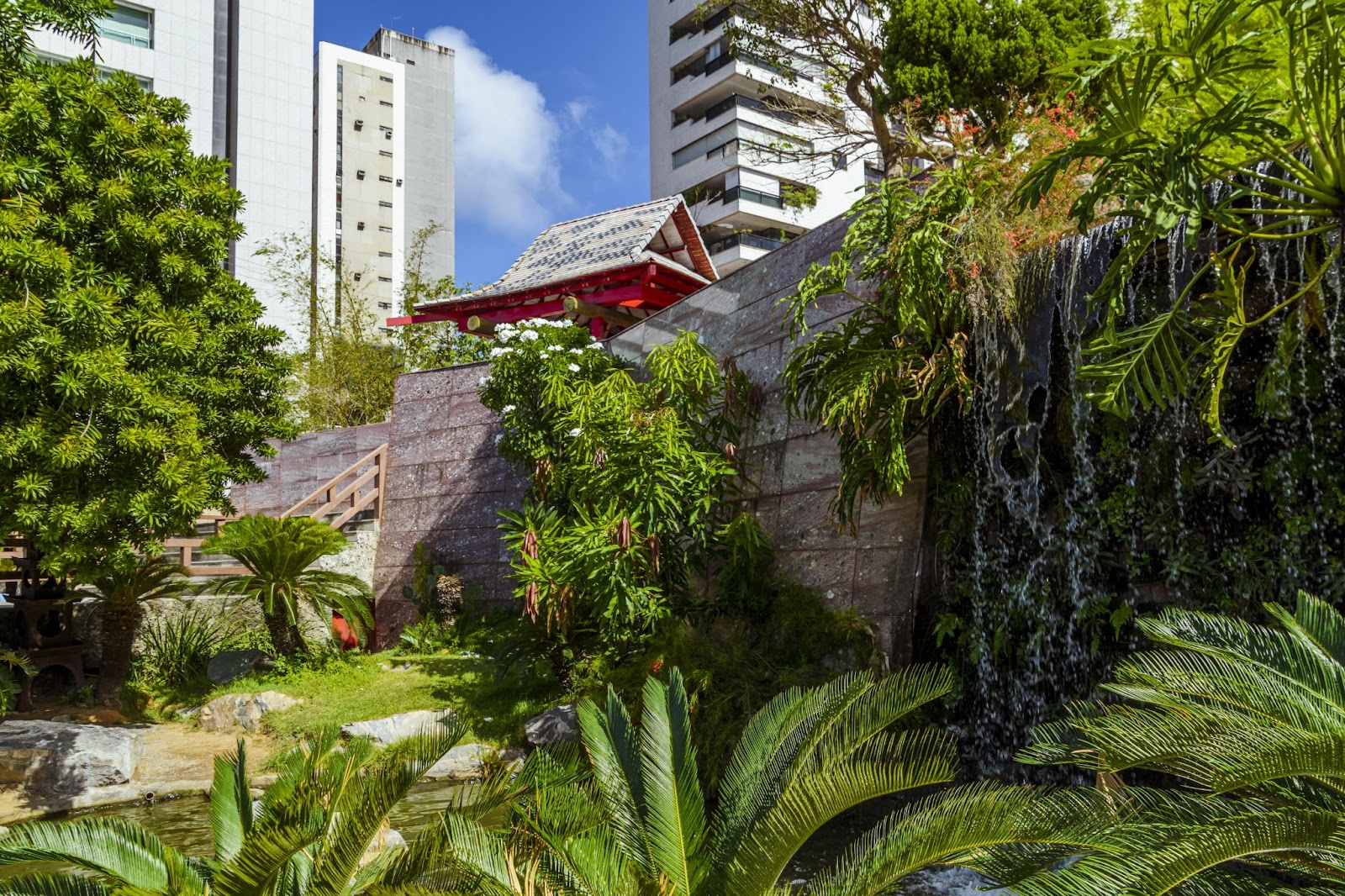 Flora no Jardim Japonês em Fortaleza (CE).