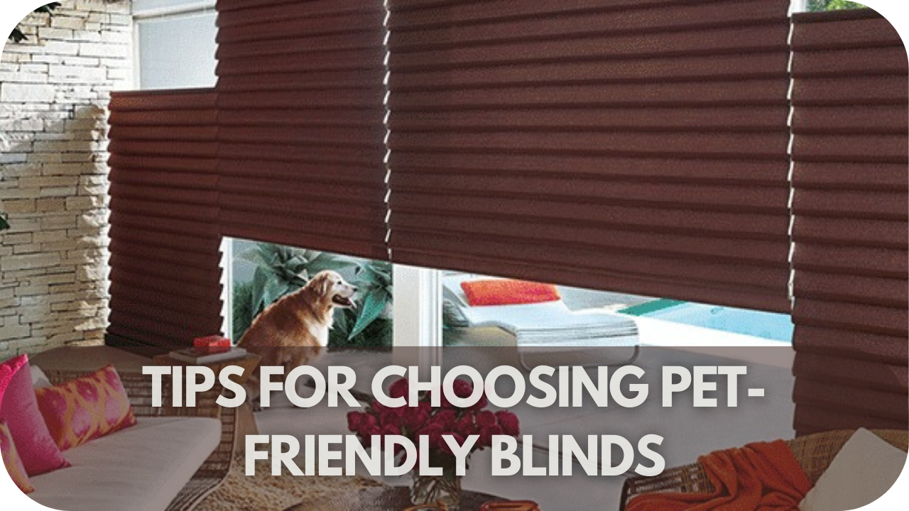 Expert tips for selecting the best pet-friendly blinds