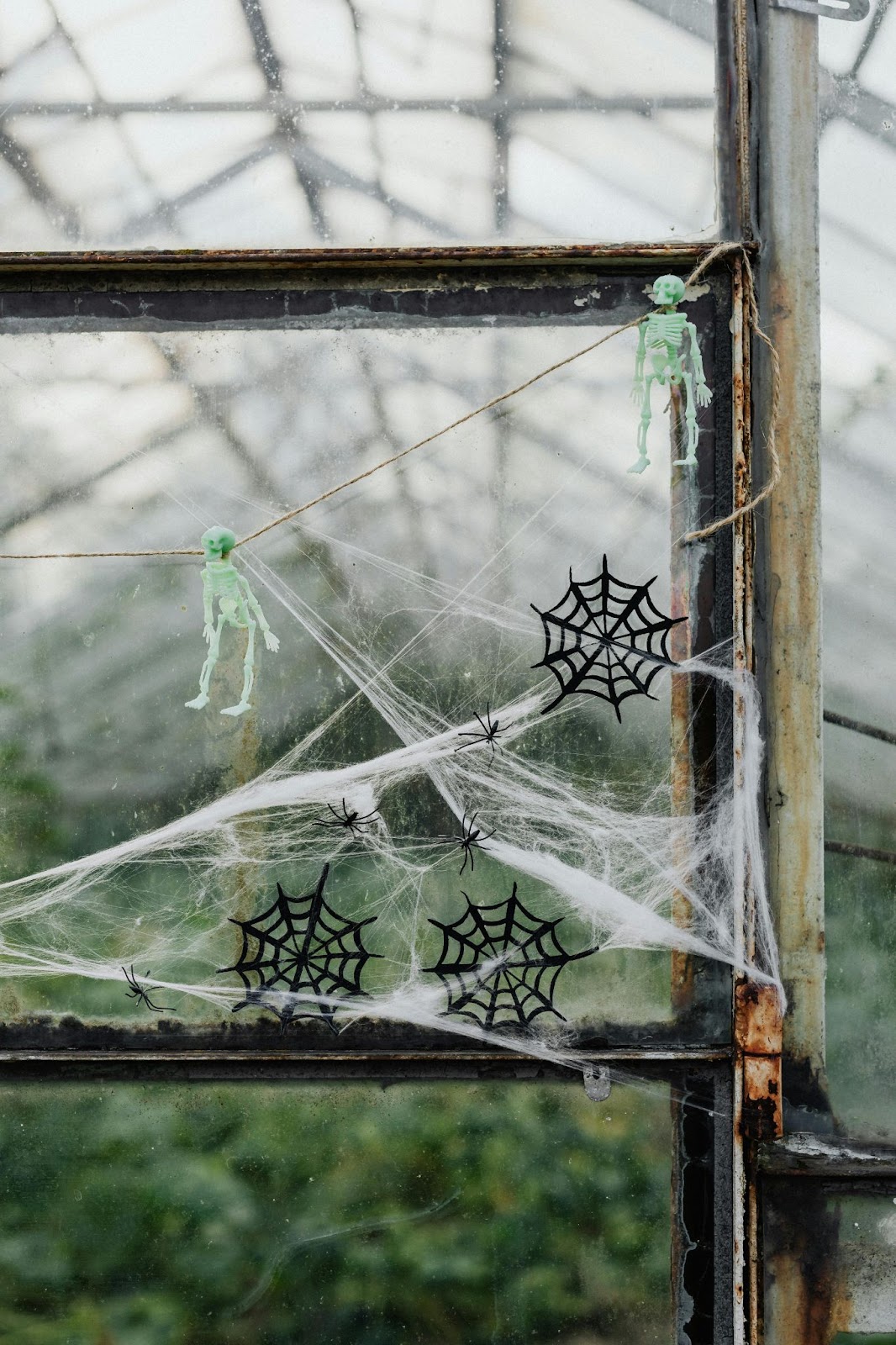 A greenhouse window decorated with fake cobwebs and small plastic skeletons and spiderwebs